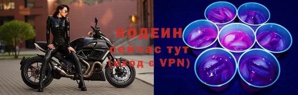 шишки Нязепетровск