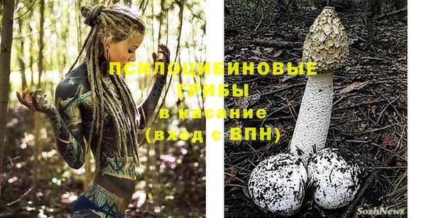 альфа пвп Новокубанск