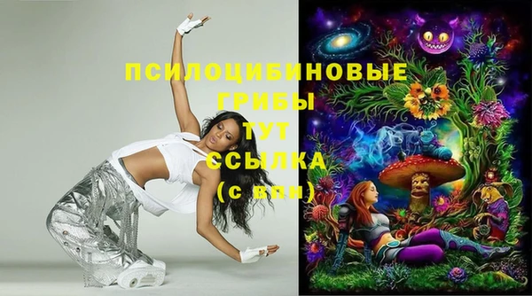 синтетический гашиш Новодвинск
