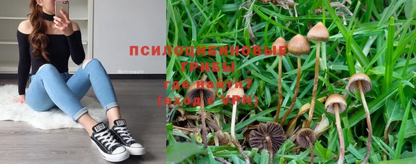 синтетический гашиш Новодвинск