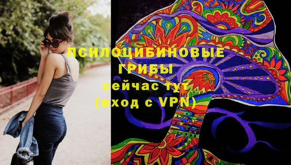 синтетический гашиш Новодвинск