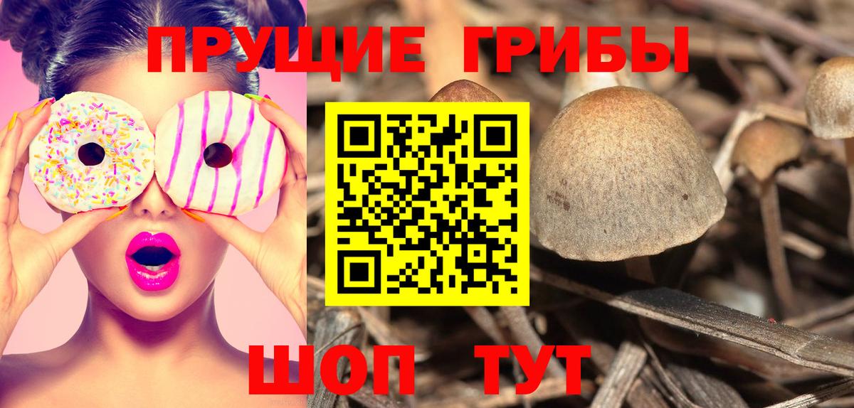 Галлюциногенные грибы Magic Shrooms Усолье-Сибирское