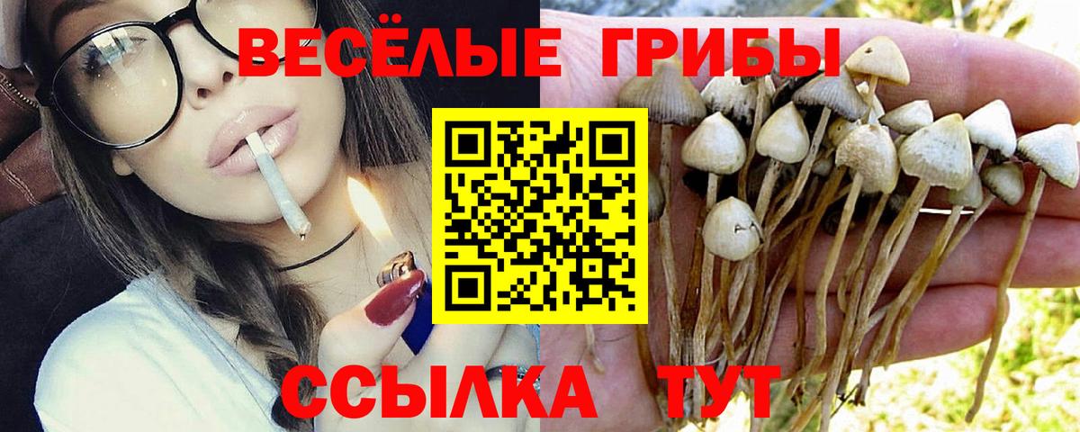 Галлюциногенные грибы прущие грибы  Вход с VPN  Усолье-Сибирское 