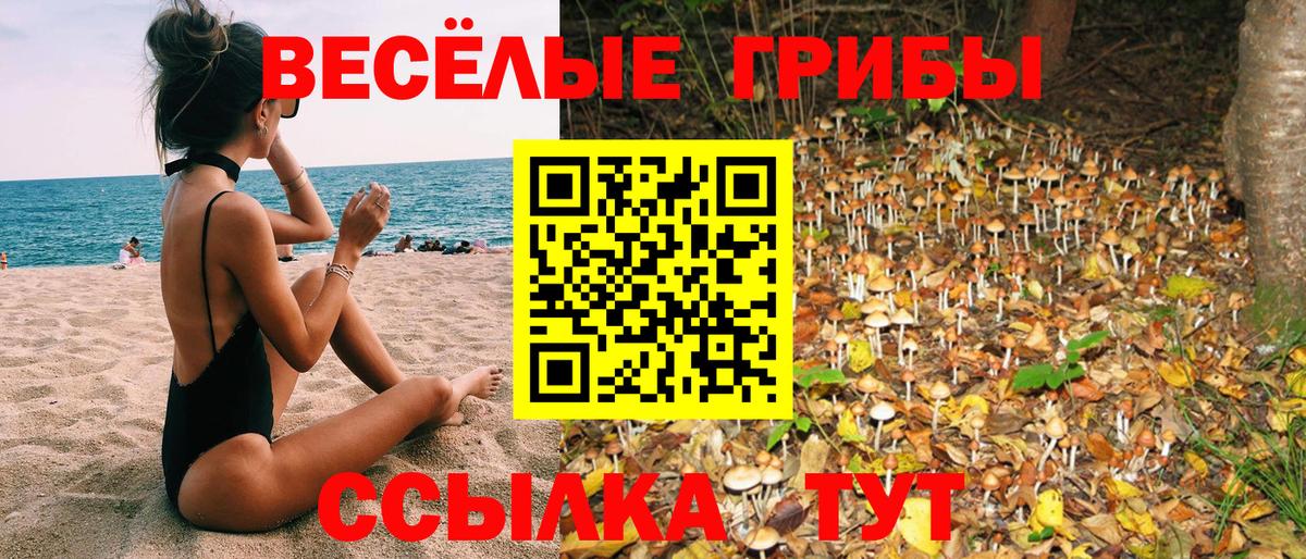 Псилоцибиновые грибы MAGIC MUSHROOMS  Галлюциногенные грибы Psilocybine cubensis  Усолье-Сибирское 